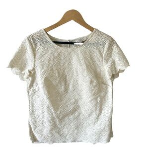 Elegant Cream Lace Women's Top